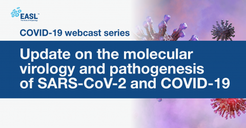 Update on the molecular virology and pathogenesis of SARS-CoV-2 and COVID-19