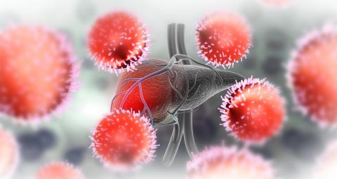 Online course: EASL Recommendations on treatment of hepatitis C