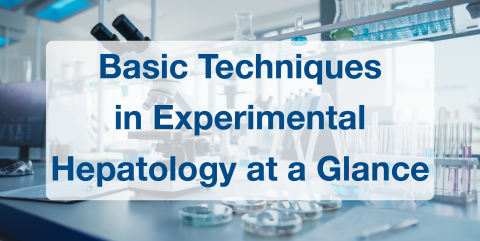  Basic Techniques in Experimental Hepatology at a Glance