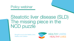 On-demand Webinar: Steatotic liver disease – the missing piece in the NCD puzzle