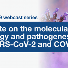 Update on the molecular virology and pathogenesis of SARS-CoV-2 and COVID-19