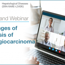 ERN Rare-Liver on-demand Webinar: Challenges of diagnosis of cholangiocarcinoma in PSC